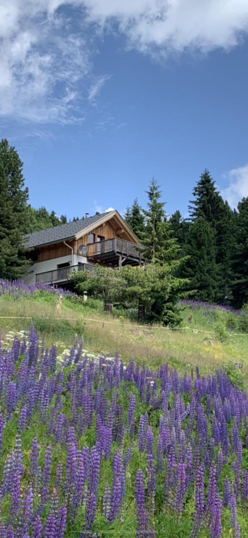 Chalet Claassen Turracher Hoehe Exterior photo